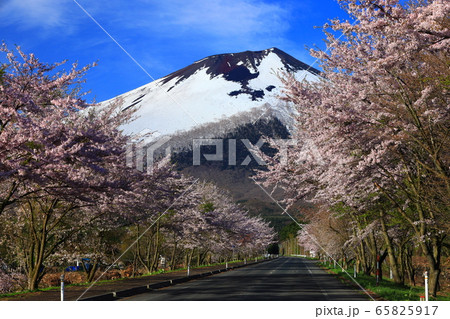 岩手山と桜 岩手山と桜 65825917