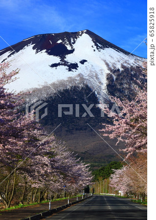 岩手山と桜 65825918