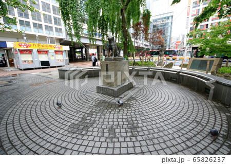 緊急事態宣言の渋谷 65826237