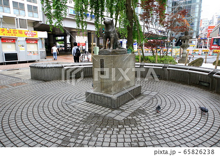 緊急事態宣言の渋谷 緊急事態宣言の渋谷 65826238