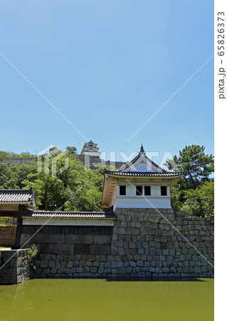 初夏の丸亀城 65826373