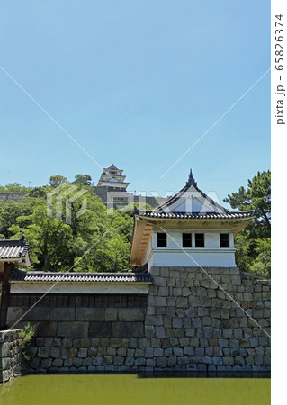初夏の丸亀城 65826374