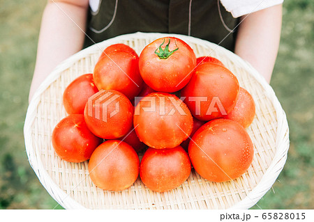 地産地消イメージ 65828015