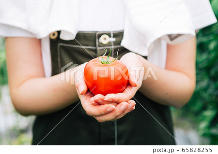 エシカル消費イメージ 65828255