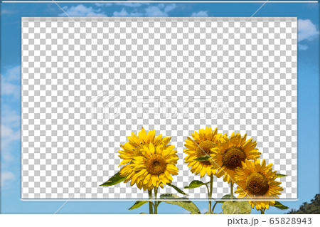 ひまわりのフレーム 油絵調のイラスト素材 6543