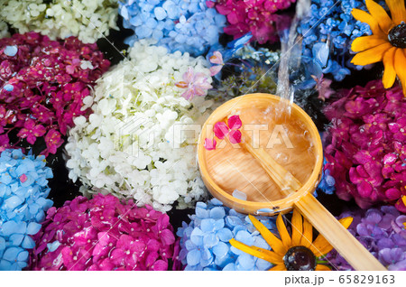 手水舎の中の紫陽花 手水舎の中の紫陽花 65829163