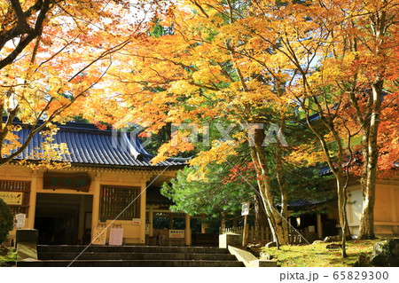 高野山　紅葉と霊宝館 65829300
