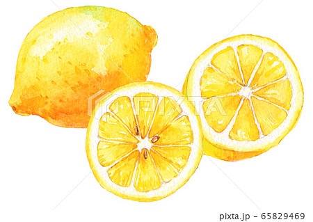 水彩レモン １つと輪切り２つのイラスト素材