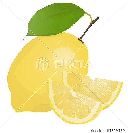 Fresh lemon fruits with leaf. Lemon vector illustration set. Whole, cut in half, sliced on pieces lemons.Lemon logo or icon. 65829529