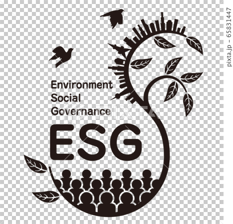 ESG ESG 65831447