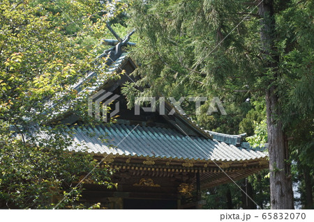 仙台東照宮本殿 65832070