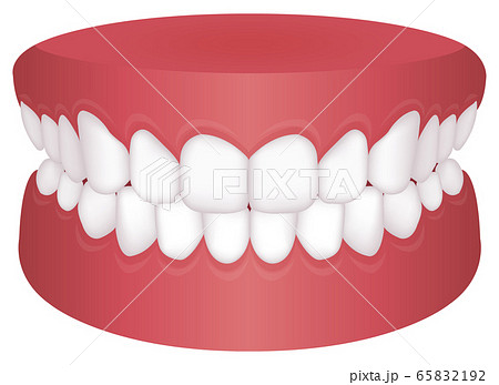 歯並び 歯列 不正咬合の種類 ベクターイラスト きれいな歯並びのイラスト素材 歯並び 歯列 不正咬合の種類 ベクターイラスト きれいな歯並びのイラスト素材