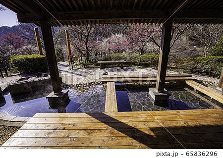(静岡県)熱海梅園・梅まつり 足湯 (静岡県)熱海梅園・梅まつり 足湯 65836296