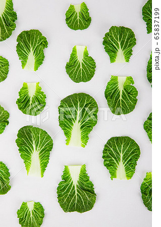 Spring vegetables and herbs, close up of nutritious greens sprouting in spring. 028 65837199