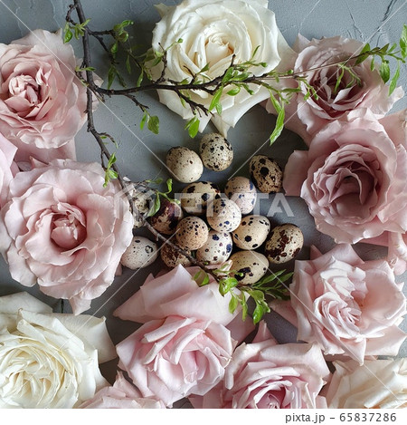 Powder-colored roses lie on concrete with quail eggs. Like a nest of flowers. Easter decoration and background. Farm natural eggs. Powder-colored roses lie on concrete with quail eggs. Like a nest of flowers. Easter decoration and background. Farm natural eggs. 65837286