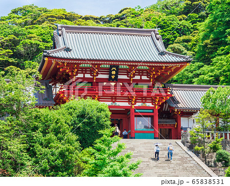 鎌倉 鶴岡八幡宮 本宮と大石段の写真素材