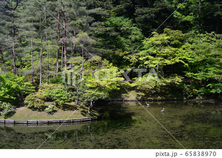 修学院離宮浴竜池-6 修学院離宮浴竜池-6 65838970