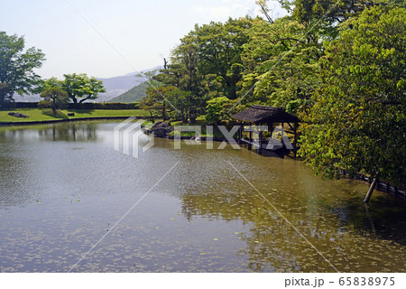 修学院離宮浴竜池-7 65838975