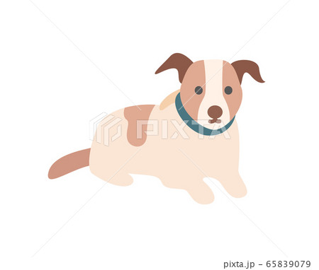 Domestic Dog, Pet Sitting on Floor, Animal Vector 65839079