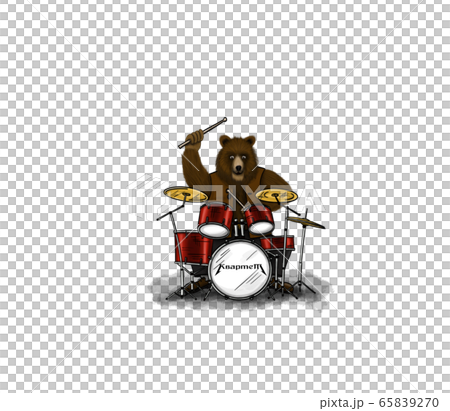 Bear Drummer 65839270