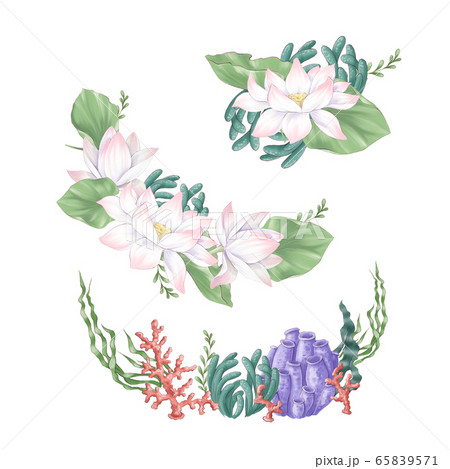 Set of digital clipart flowers and bouquets of lotus and seaweed Set of digital clipart flowers and bouquets of lotus and seaweed 65839571