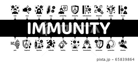 Immunity Human Biological Defense Minimal Infographic Banner Vector 65839864