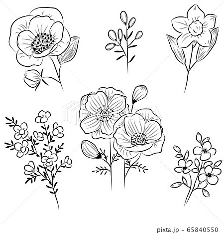 Flowers drawing with line-art on white backgrounds. Flowers drawing with line-art on white backgrounds. 65840550