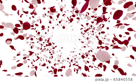 バラ 薔薇 花びら 舞う パーティクル 紙吹雪 紙ふぶき イラスト 背景 バックグラウンド バラ 薔薇 花びら 舞う パーティクル 紙吹雪 紙ふぶき イラスト 背景 バックグラウンド 65840558