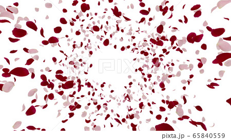 バラ 薔薇 花びら 舞う パーティクル 紙吹雪 紙ふぶき イラスト 背景 バックグラウンド 65840559