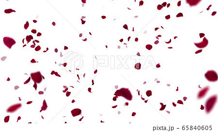 バラ 薔薇 花びら 舞う パーティクル 紙吹雪 紙ふぶき イラスト 背景 バックグラウンドのイラスト素材