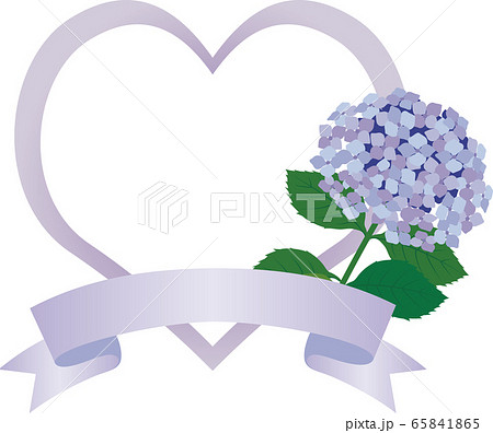 アジサイ 花 初夏 梅雨 カード ハート フレーム コピースペース イラスト素材のイラスト素材