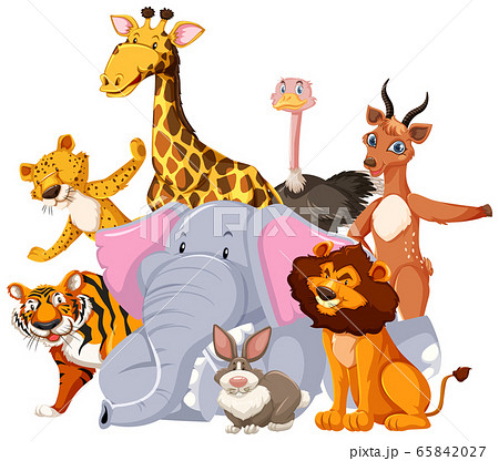 Group of wild animal cartoon character - Stock Illustration [65842027] -  PIXTA