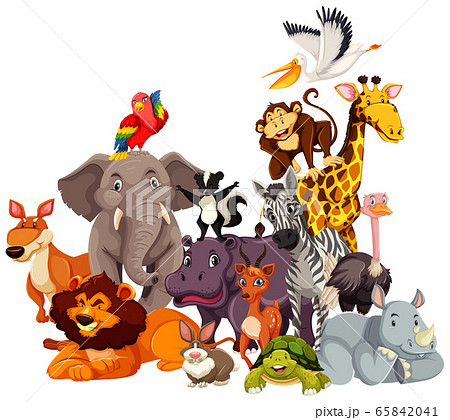 Group of wild animals cartoon character - Stock Illustration [65842041] -  PIXTA