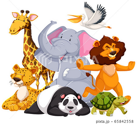 Group of wild animal 65842558