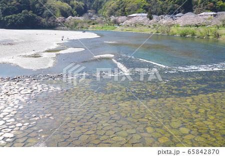 錦川と桜咲く河畔の景色 65842870