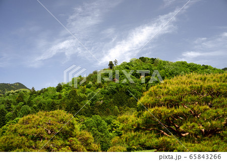 修学院離宮山辺-3 修学院離宮山辺-3 65843266