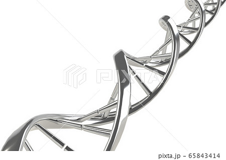 DNA, 遺伝子 65843414