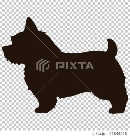 ノーリッチ テリア シルエットのイラスト素材