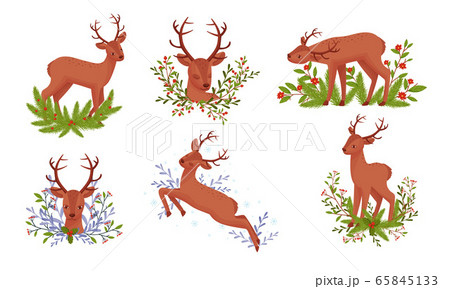 Deer with Antlers Standing in Floral Branches Vector Set 65845133