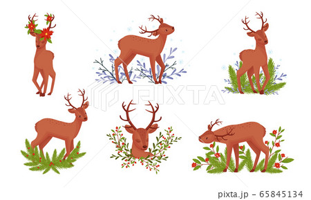 Deer with Antlers Standing in Floral Branches Vector Set 65845134