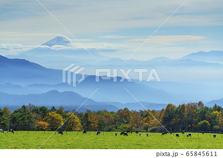山梨県北杜市からの風景(墨絵のような富士山と山々、牧場) 山梨県北杜市からの風景(墨絵のような富士山と山々、牧場) 65845611