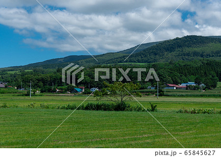 北海道　駒ヶ岳山麓 65845627