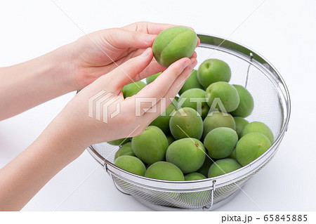 青梅 梅酒作り ザルに入ったたくさんの梅を選り分ける様子 青梅 梅酒作り ザルに入ったたくさんの梅を選り分ける様子 65845885