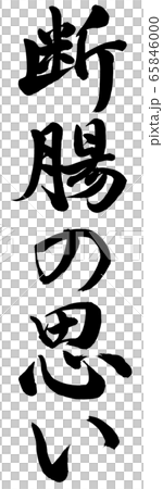 Fecal disorder 65846000