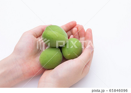青梅　女性が梅を持つ様子 65846096