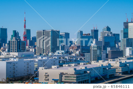 日本の東京都市景観 東京タワーなど都心を望む 日本の東京都市景観 東京タワーなど都心を望む 65846111