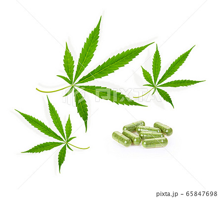 Fresh marijuana leaves and capsule  on white 65847698