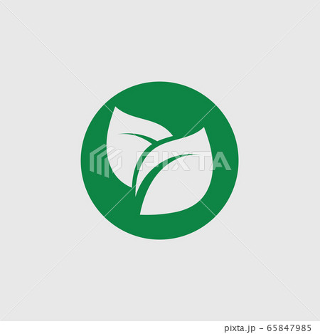 Eco icon green leaf vector illustration template 65847985