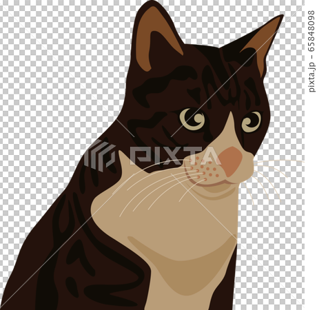 トラ猫 イラスト 夜 夜中のボス的猫のイメージ のイラスト素材