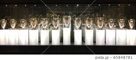 カップ コップ サッカー 65848781